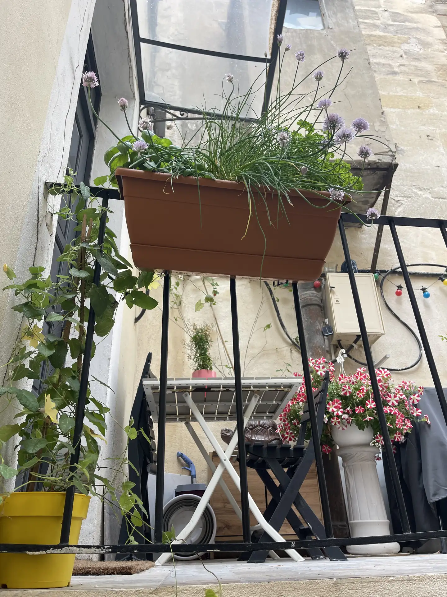 Balcon fleuri et plantes aromatiques
