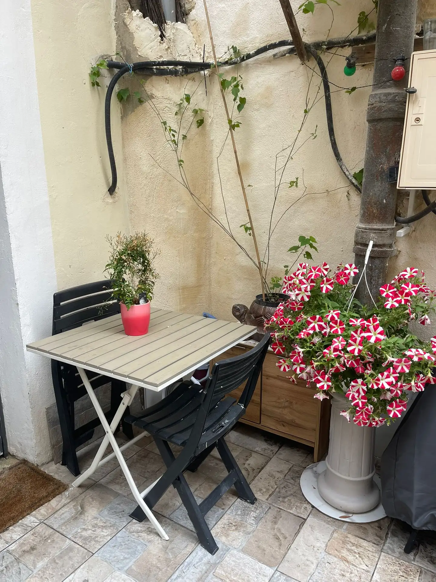 Patio avec table et pétunias